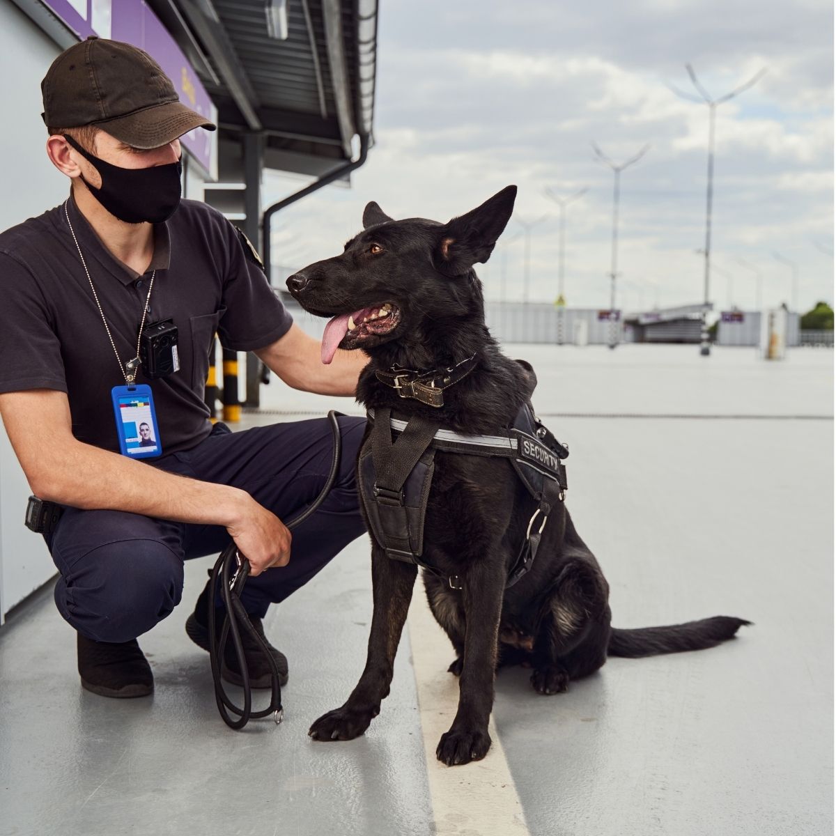 Agent de sécurité cynophile en patrouille.
